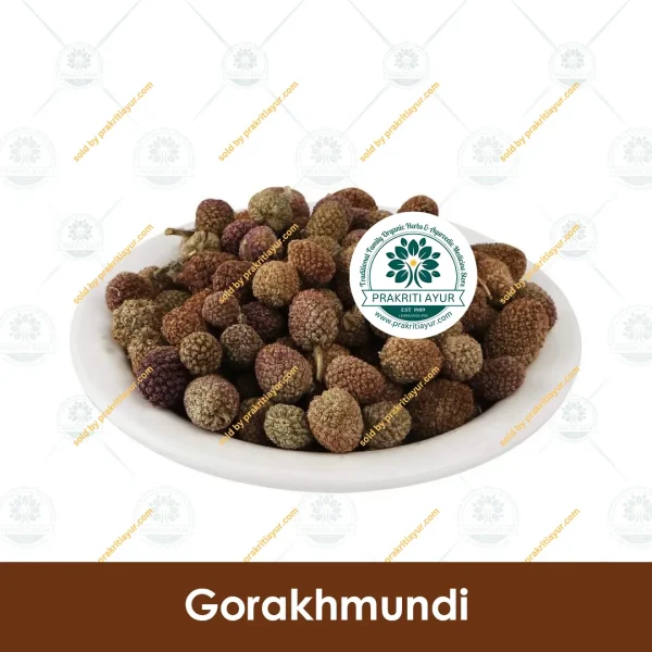 Organic Gorakhmundi Gorakh Mundi East Indian Globe Thistle by Pafkoi Greens